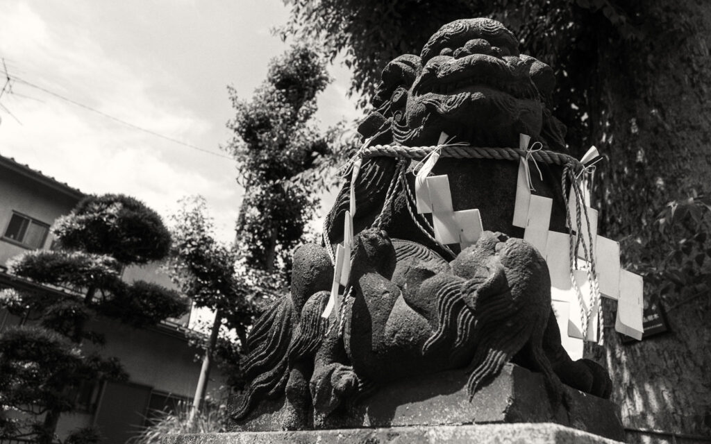 道々橋八幡神社（吽形狛犬）